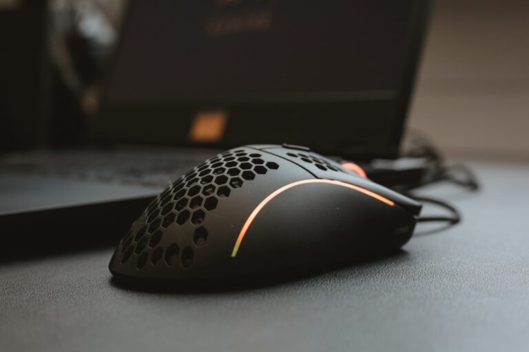 maus