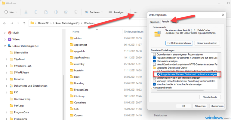 Versteckte Dateien anzeigen bei Windows 11
