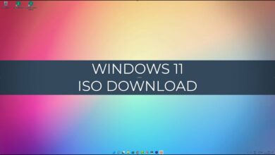 Windows 11 ISO Download jede Version