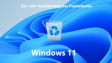 Windows 11 Ein oder Ausblenden des Papierkorbs