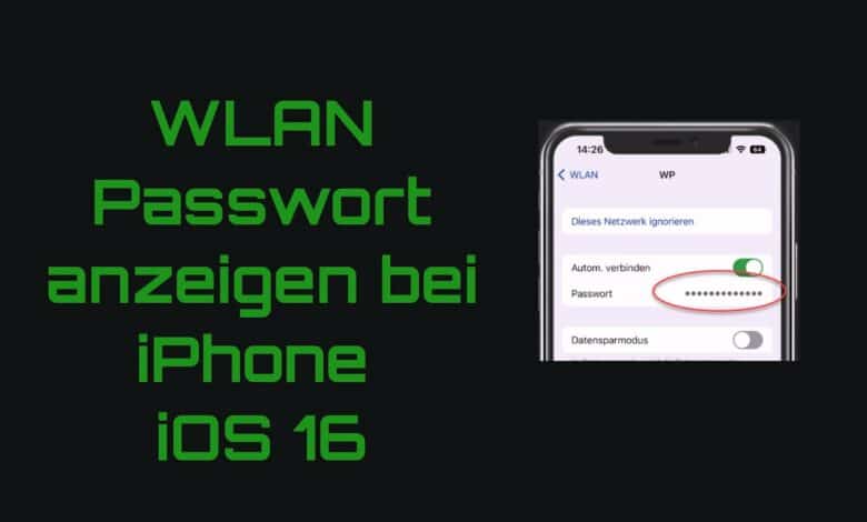 So zeigst du dein gespeichertes WLAN Passwort auf dem iPhone So zeigst du dein gespeichertes WLAN Passwort auf dem iPhone