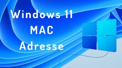 MAC Adresse herausfinden unter Windows 11 2 Methoden