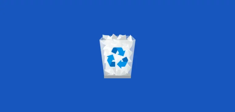 So stellen Sie gelöschte Bilder wieder her aus dem Papierkorb unter Windows 11