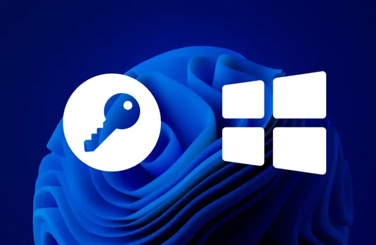 Produktschlüssel Key für installierte Programme Windows 11 auslesen