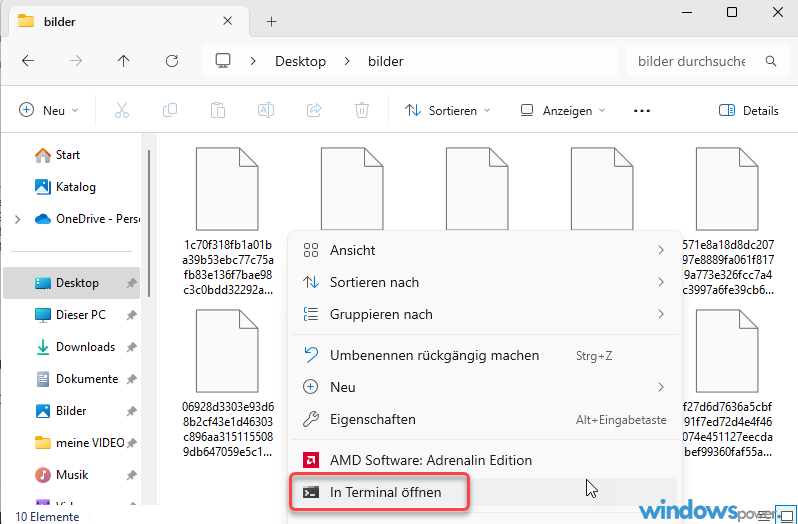 Windows Terminal Windows Terminal
