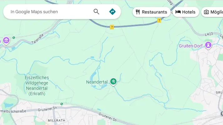 Google Maps