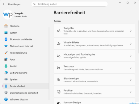 Windows 11 visuelle Effekte Menü