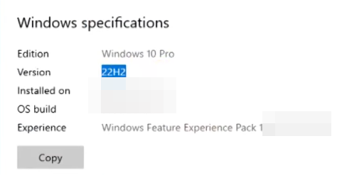 Windows 10 System Info mit Version 22H2 und Build Nummer