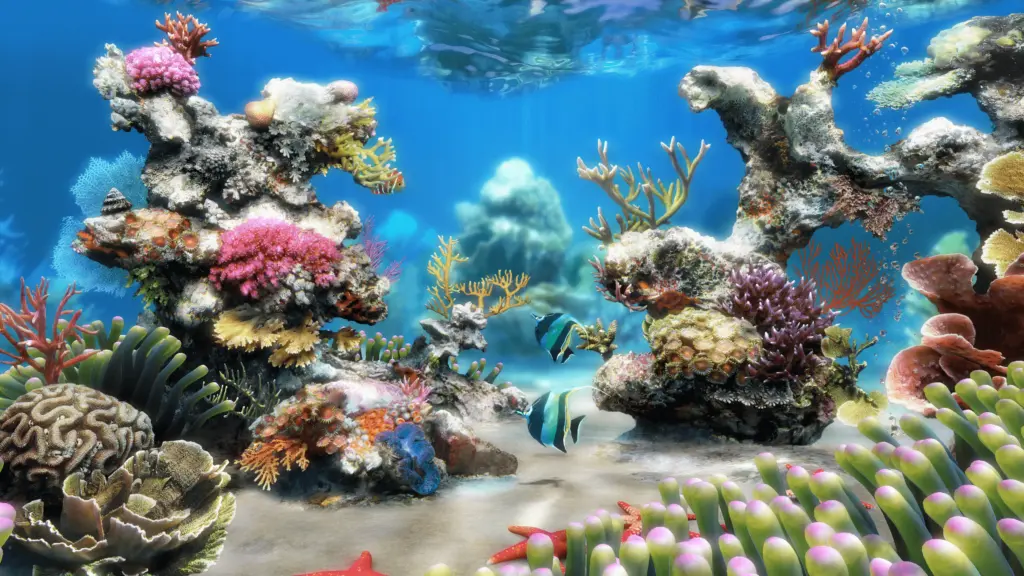 Ashampoo Live Aquarium 4K kostenlos – Vollversion gratis herunterladen