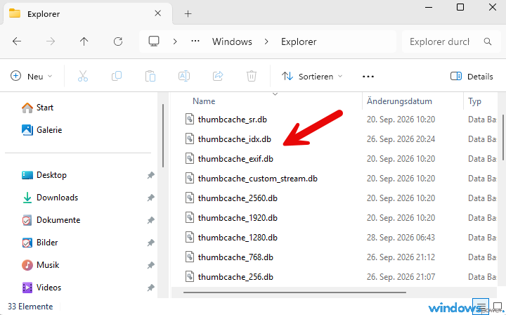 Explorer Fenster mit markierten thumbcache Dateien im Ordner Explorer Fenster mit markierten thumbcache Dateien im Ordner
